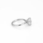 The Eternal Round Ring 3.0ct