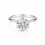 The Eternal Round Ring 3.0ct